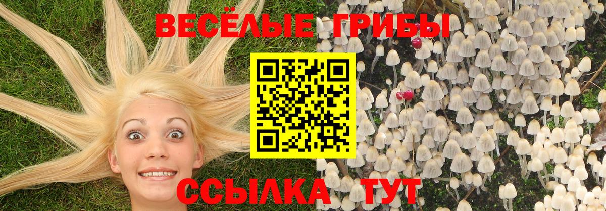 Псилоцибиновые грибы мухоморы Вичуга