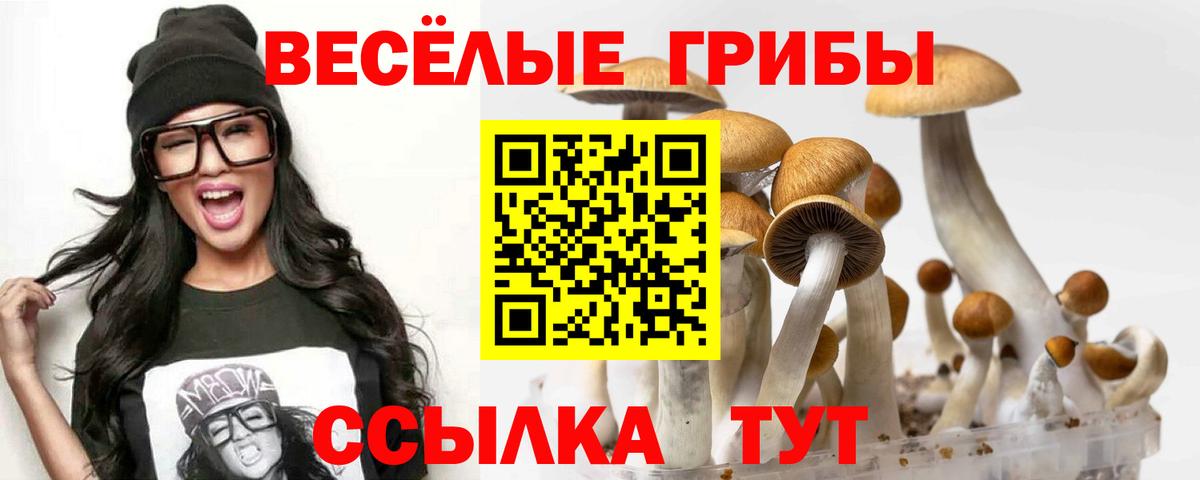 Галлюциногенные грибы мухоморы  Вход с VPN  Вичуга  Галлюциногенные грибы Magic Shrooms 